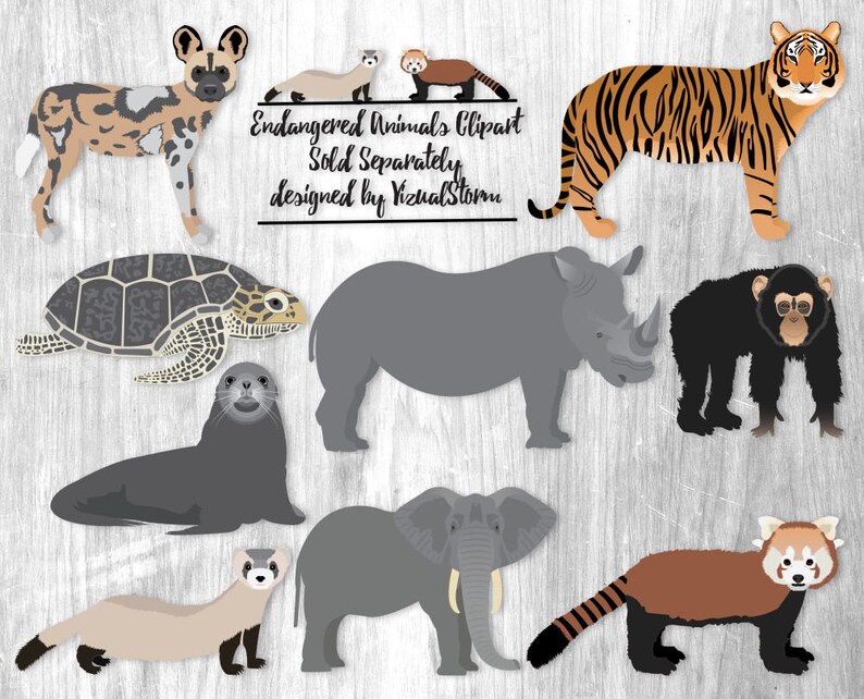 Desert Animals Clipart PNG Wildlife Clip Art Hedgehog, Antelope, Meerkat, Badger, Jackal, Kangaroo, Camel, Digital Nature Illustrations image 6