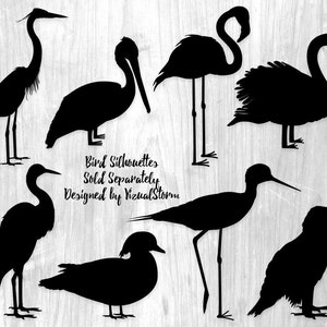 Bird Lovers Clipart Bundle PNG Wading Birds, Waterfowl, Shorebirds, Great Blue Heron, Snowy Egret, Duck, Bald Eagle, Wildlife Illustration image 5