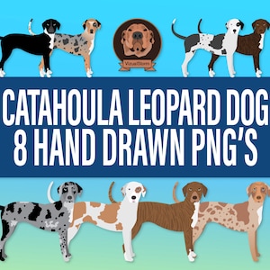 Puede incluir: Ocho ilustraciones dibujadas a mano de perros leopardo Catahoula en varias poses. Los perros se representan en diferentes colores y patrones, incluyendo negro, blanco, marrón y tostado.