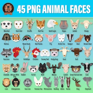 Animal Face Clipart Bundle - Png Wildlife Heads, Farm Clip Art, Big Cats, Woodland Creatures, Sea Life, Endangered Species, Digital Critters