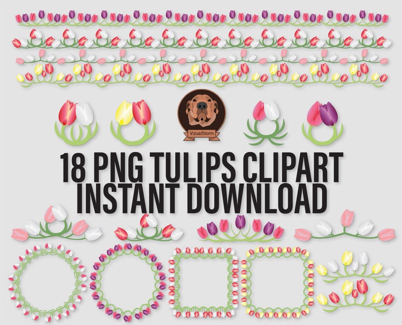 Png Tulip Flower Borders and Frames Clipart Bundle. Circle and square tulip borders and bouquets. Png files have transparent backgrounds. Red, White, Pink, Purple and Yellow Tulip Illustrations. Hand drawn graphics