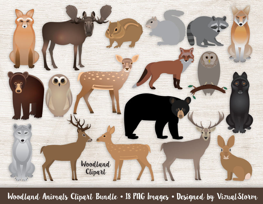 Download Woodland Animals Clipart Bundle Forest Animal Graphics Etsy