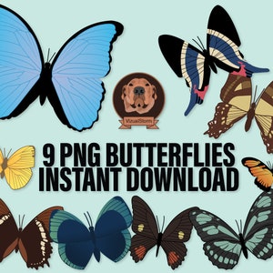 butterfly clipart