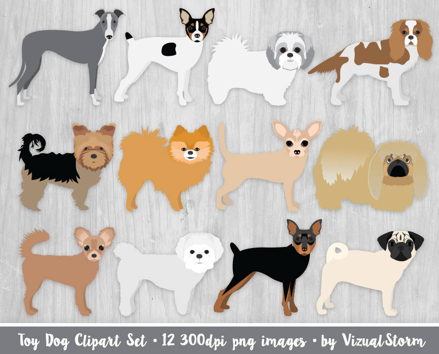 Download Toy Dog Breeds Clipart Standing Profile King Charles Etsy
