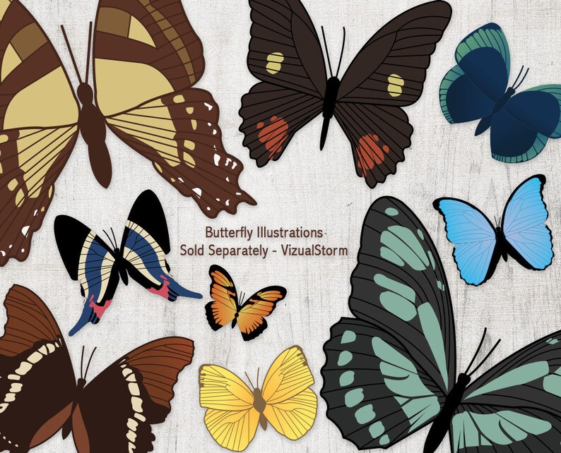 Png Butterfly Garden Silhouettes Digital Gardening Clipart with Butterflies, Plants, Flowers, Watering Can, Flower Pots and a Bird House image 3