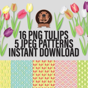 tulip clipart and digital paper bundle