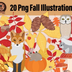 Png Fall Woodland Clipart Bundle Autumn Forest Illustrations with Leaves, Acorns, Pumpkin, Mushrooms, Fox, Rabbit, Squirrel, Owl, Chipmunk image 1