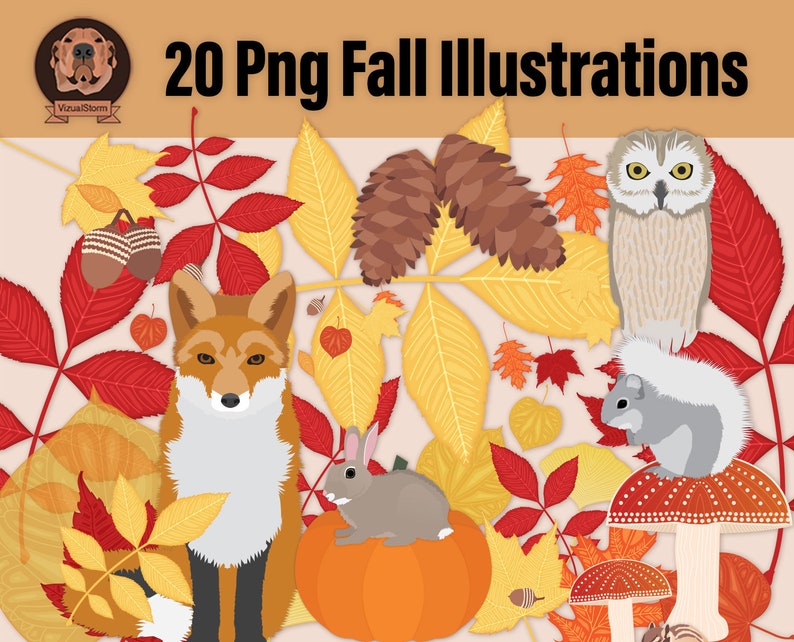 Png Fall Woodland Clipart Bundle Autumn Forest Illustrations with Leaves, Acorns, Pumpkin, Mushrooms, Fox, Rabbit, Squirrel, Owl, Chipmunk image 1
