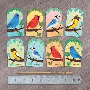 Colorful Songbirds Clipart Yellow Warbler, Red Cardinal, Indigo Bunting, Blue Jay, American Goldfinch, Grosbeak and Tanagers, PNG Wildlife image 7