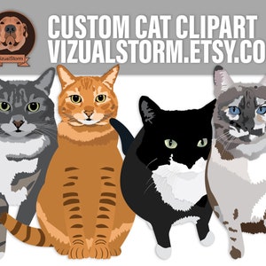 Custom sitting cat illustrations. Hand drawn vector graphics