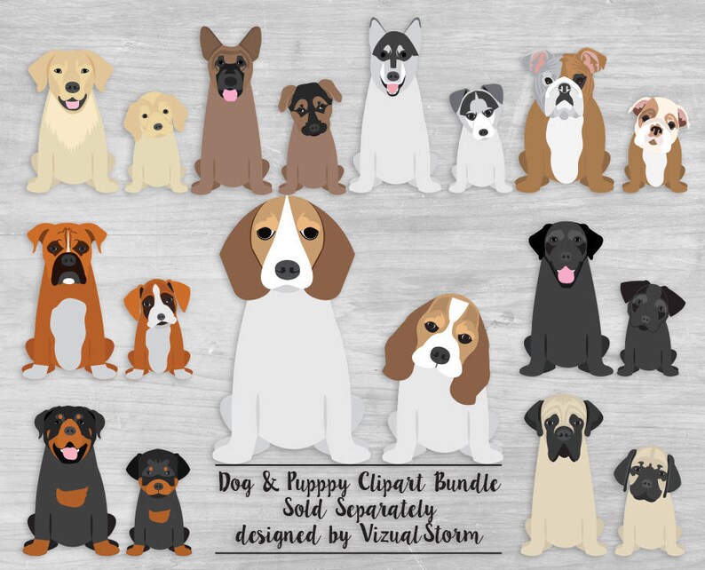 Puppies Wearing Sunglasses Cute PNG Puppy Breeds, Dapper Dog Clipart, Pet Fashionista, Beach Dogs, Animal Pool Party Clip Art, Summer Png image 8