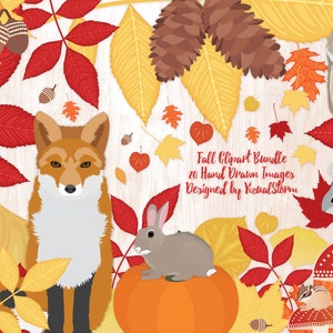 Png Fall Woodland Clipart Bundle Autumn Forest Illustrations with Leaves, Acorns, Pumpkin, Mushrooms, Fox, Rabbit, Squirrel, Owl, Chipmunk image 3