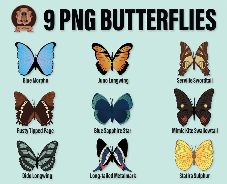 Butterflies Png Clipart Bundle Rainforest Butterfly Clip Art, Peru Insects, Blue Morpho, Swallowtail, Spring Card Making, Garden Png's image 2