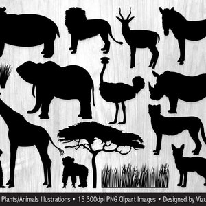 Wild Animals of Africa Clipart Digital Png Illustrations Elephant, Giraffe, Chimpanzee, Zebra, Hippopotamus, Rhinoceros, Lion, Cheetah image 9