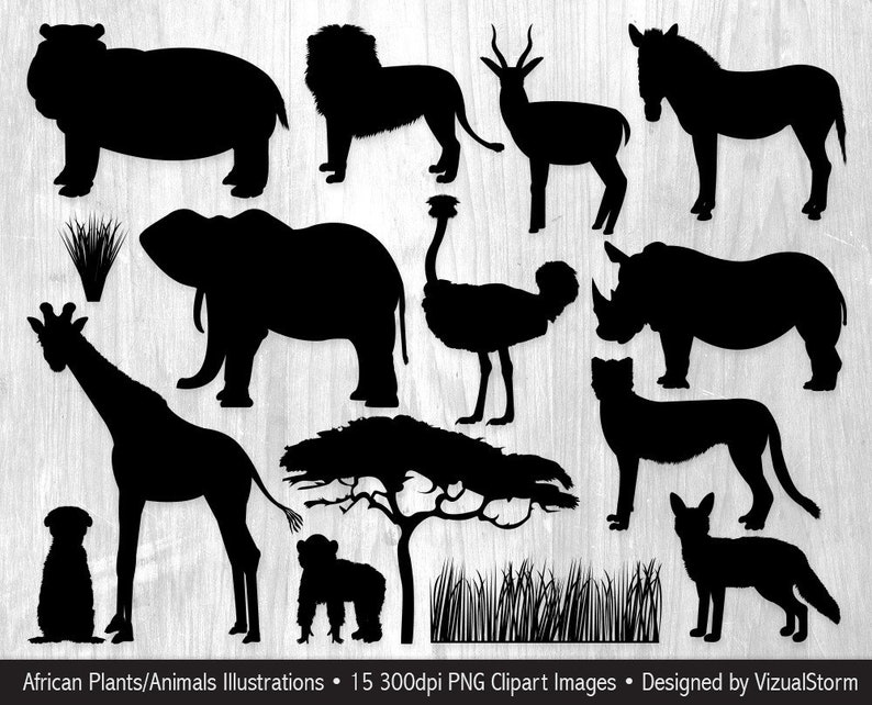 Wild Animals of Africa Clipart Digital Png Illustrations Elephant, Giraffe, Chimpanzee, Zebra, Hippopotamus, Rhinoceros, Lion, Cheetah image 9