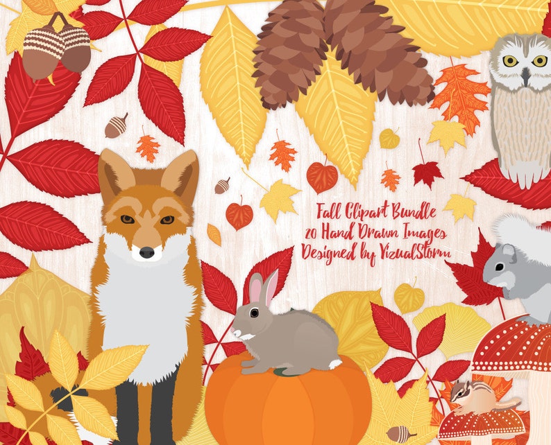 Fall Woodland Creatures clipart bundle