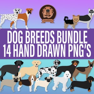 Hand Drawn Dog Breed Clipart Bundle - Png Pet Graphics With French Bulldog, Black Lab, Rottweiler, Dalmatian, Poodle, Boxer, Husky & More