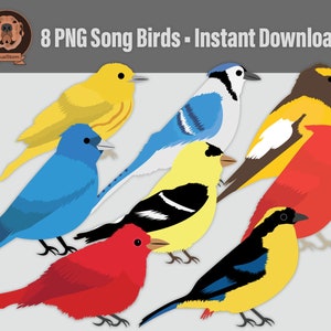 Colorful Songbirds Clipart Yellow Warbler, Red Cardinal, Indigo Bunting, Blue Jay, American Goldfinch, Grosbeak and Tanagers, PNG Wildlife image 1