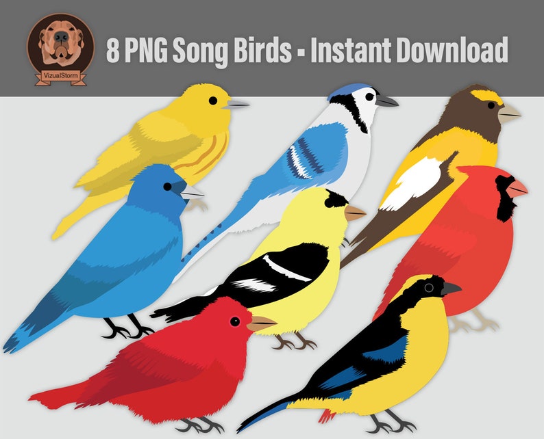 Colorful Songbirds Clipart Yellow Warbler, Red Cardinal, Indigo Bunting, Blue Jay, American Goldfinch, Grosbeak and Tanagers, PNG Wildlife image 1