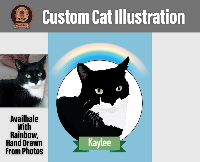 Custom Digital Cat Portrait, Hand Drawn From Photos, Personalized Pet Face Illustrations, Sympathy Gifts, Pet Memorial, Gifts For Cat Mom image 2