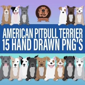 American Pitbull Clipart Bundle - Hand Drawn Png Dog Breeds in Sitting Pose, Smiling Staffordshire Terrier with Varied Colors and Ear Styles