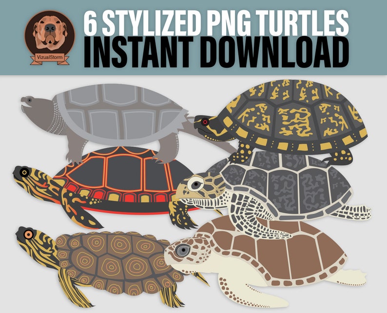 Png Land and Sea Turtles - Stylized Marine Life Craft Clipart, Hand Drawn Abstract Ocean Life Illustrations, Animal Scrapbooking Graphics