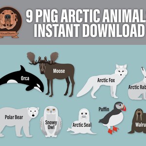 Png Arctic Animal Clip Art Digital Antarctica Wildlife Illustrations Moose, Walrus, Puffin, Fox, Bear, Snowy Owl, Seal, Orca, White Hare image 2