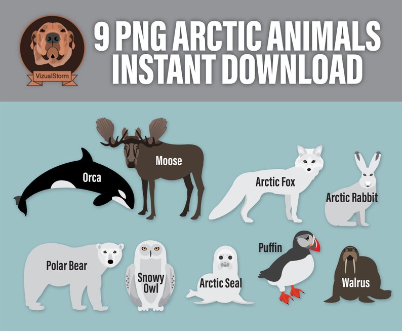 Png Arctic Animal Clip Art Digital Antarctica Wildlife Illustrations Moose, Walrus, Puffin, Fox, Bear, Snowy Owl, Seal, Orca, White Hare image 2