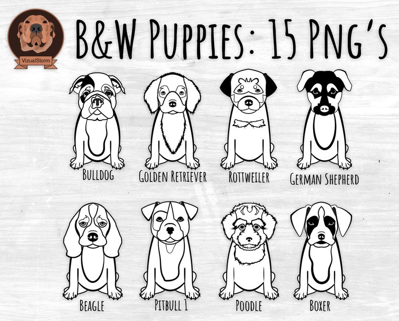 Sitting Black-Line Puppies Png Black and White Puppy Clipart for Coloring and Crafts, Dog Line Art Drawings Outlines of Pets Clip Art image 2