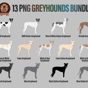 K&ouml;nnte beinhalten: Eine digitale Illustration von 13 verschiedenen Arten von Windhunden, darunter schwarze, blaue, rehbraune, gefleckte und wei&szlig;-schwarze Variationen. Jeder Hund ist in stehender Position dargestellt, mit seinem Namen darunter.