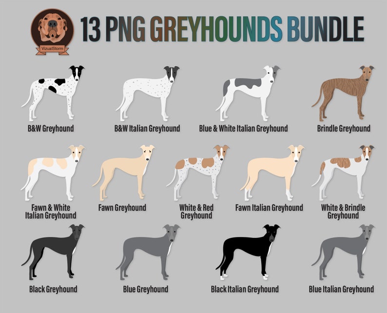 K&ouml;nnte beinhalten: Eine digitale Illustration von 13 verschiedenen Arten von Windhunden, darunter schwarze, blaue, rehbraune, gefleckte und wei&szlig;-schwarze Variationen. Jeder Hund ist in stehender Position dargestellt, mit seinem Namen darunter.