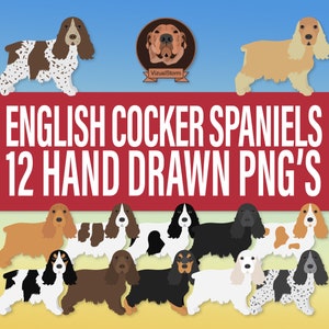 English Cocker Spaniel Dog Breeds Clipart Bundle - Hand Drawn Png Dog Illustrations in Standing Pose with Multiple Fur Color for Pet Crafts