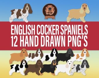 English Cocker Spaniel Dog Breeds Clipart Bundle - Hand Drawn Png Dog Illustrations in Standing Pose with Multiple Fur Color for Pet Crafts