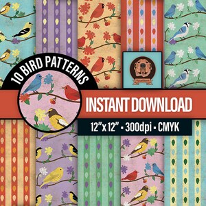 K&ouml;nnte beinhalten: Zehn digitale Papiermuster mit V&ouml;geln und Blumen im Vintage-Stil. Die Muster sind 30,48 cm x 30,48 cm gro&szlig; und haben eine Aufl&ouml;sung von 300 dpi.