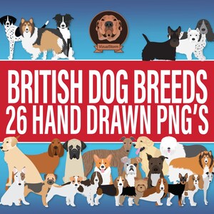 Britse hondenrassen illustratiebundel - handgetekende png-canine clipart, perfect voor UK huisdier decor, dierenkunstprints en Engelse AKC hondencadeaus