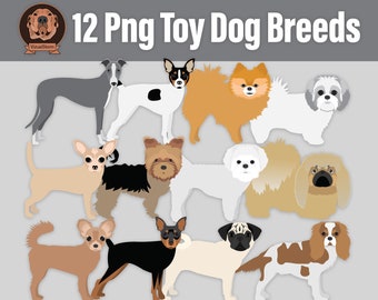 Clipart de race de chien jouet - PNG Animaux de compagnie, King Charles, Chihuahua, Poméranie, Yorkshire Terrier, Carlin, Maltais, Pékinois, Shih Tzu, Fox Terrier