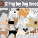 see more listings in the CATS & DOGS Png Clipart section