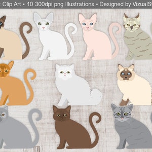 Digital Cats Holding Chalkboards Classroom Sign Clip Art for Teachers, Students or Scrapbooking Hand Drawn Png Cat Breeds image 8