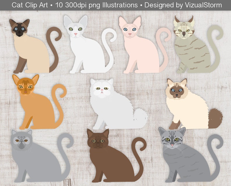 Digital Cats Holding Chalkboards Classroom Sign Clip Art for Teachers, Students or Scrapbooking Hand Drawn Png Cat Breeds image 8