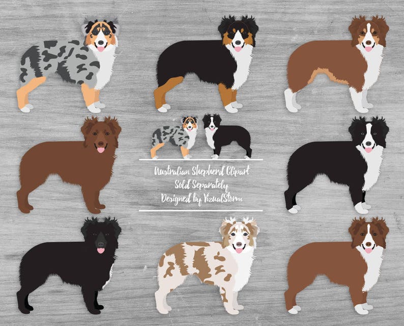 K&ouml;nnte beinhalten: Digitaler Clipart mit zehn Australian Shepherd Hunden in verschiedenen Posen und Farbvarianten. Die Hunde sind im Cartoon-Stil mit einfachen Linien und flachen Farben illustriert. Der Text "Australian Shepherd Clipart Sold Separately Designed by VisualStorm" befindet sich am unteren Rand des Bildes.
