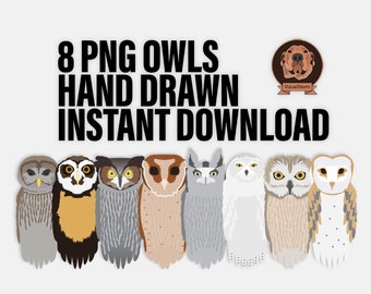 Png Owl Illustrations - Clipart of Owls Sitting, Front View Birds of Prey, Hand Drawn Bird Craft Graphics, Digital Wildlife Scrapbooking
