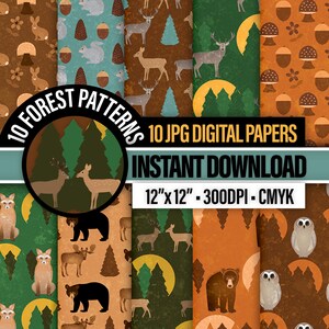 Documenti digitali con animali del bosco - Foresta di notte, motivo boschivo con luna piena con alberi di pino e animali selvatici che si divertono - Modelli di foresta al crepuscolo