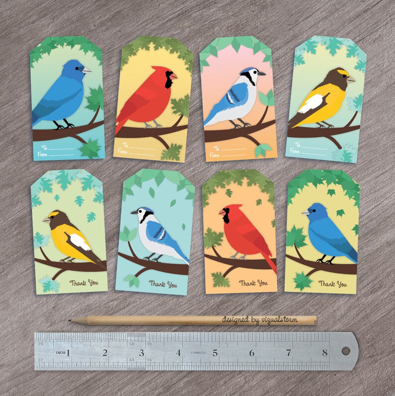 K&ouml;nnte beinhalten: Acht bunte Geschenkanh&auml;nger mit verschiedenen Vogel-Illustrationen. Jeder Anh&auml;nger hat einen Zweig mit Bl&auml;ttern, einen Vogel und den Text "Danke".