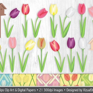 Tulip Garden Clipart and Pattern Bundle Png Spring Flowers, Bird House, Digital Mothers Day Papers, Floral Easter Craft Clip Art Designs image 2