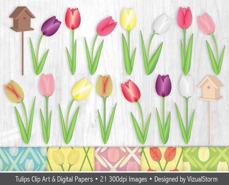 Tulip Garden Clipart and Pattern Bundle Png Spring Flowers, Bird House, Digital Mothers Day Papers, Floral Easter Craft Clip Art Designs image 2