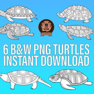 May include: Six black and white turtle illustrations in PNG format. The turtles are in various poses, including swimming and walking. The text "6 B&W PNG TURTLES INSTANT DOWNLOAD" is at the bottom of the image.