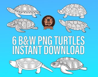 Black & White Turtle Clipart - Land and Sea Marine Animal Outlines for Scrapbooking, Ocean Life Coloring, Wildlife Crafts, Png Line Art