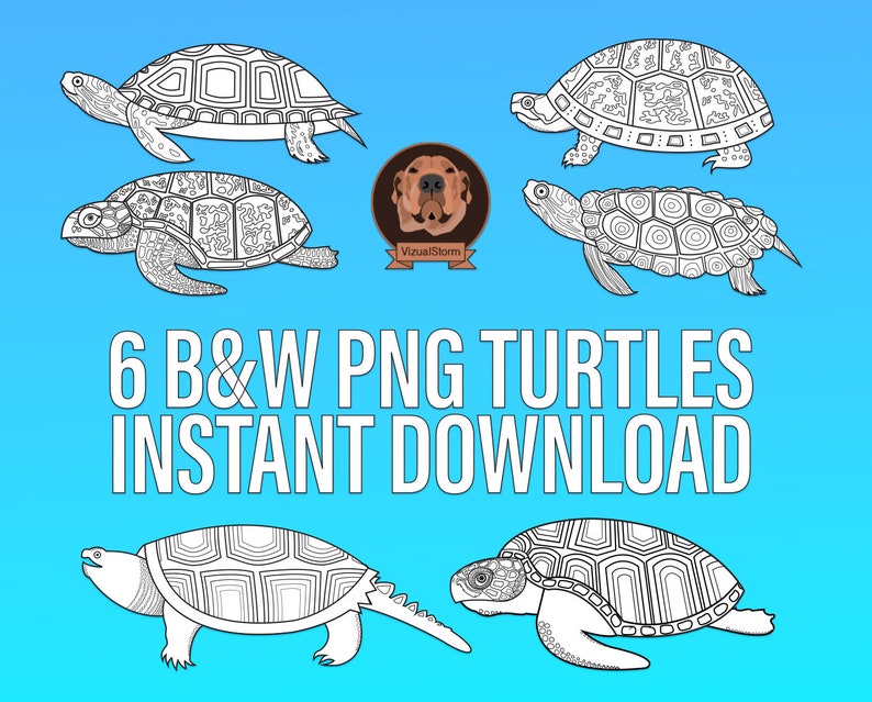 Digital black and white Png Turtle Clipart with Loggerhead Sea Turtle, Eastern Box Turtle, Common Snapping Turtle, Hawksbill Sea Turtle, Black Knobbed Map Turtleand Painted Turtle
