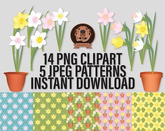 Daffodil Clipart Bundle, Flower Digital Papers, Png Floral Illustrations - Spring Garden Clip Art, Easter Scrapbooking, Mothers Day Crafts