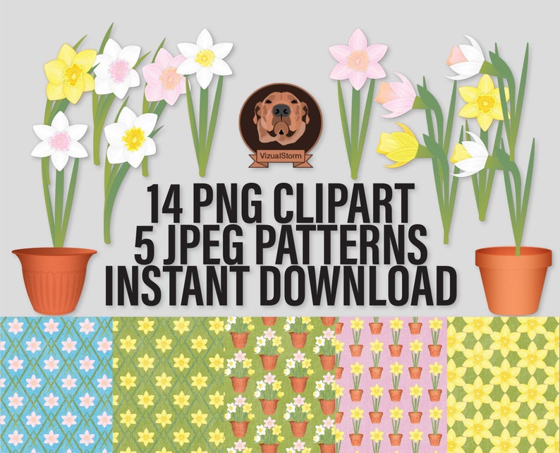 Daffodil Png Clipart and Jpg Digital Paper Bundle. Png files have a transparent background. 14 hand drawn Tulips in pink, white & yellow. 5 handmade flower patterns in green, yellow, blue, white and pink. Perfect for Mothers Day, Spring or Easter.